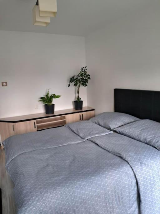 Apartament Na 4 Pietrze Nowy Targ Exterior foto